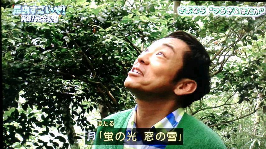 涙ぐみながら 完全変態 を見守る香川照之カマキリ先生の完全なる変態ドキュメント 昆虫すごいぜ 2ページ目 Togetter