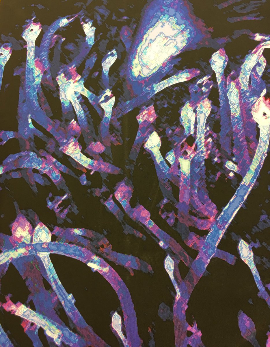 It's West Highland Yachting Week in #Oban. Come to our pop-up shop 30-31 July 11am-4pm at Station Square &amp; join #BeautifullyStrange inspired by deep-sea hydrothermal vents 11am-Mon 2pm-Tue in partnership with marine scientist Laura Hepburn as part of #FutureOfOurSeas events #WHYW