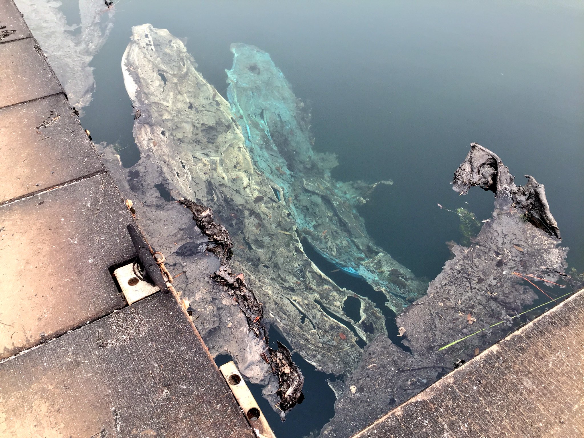 View image on Twitter