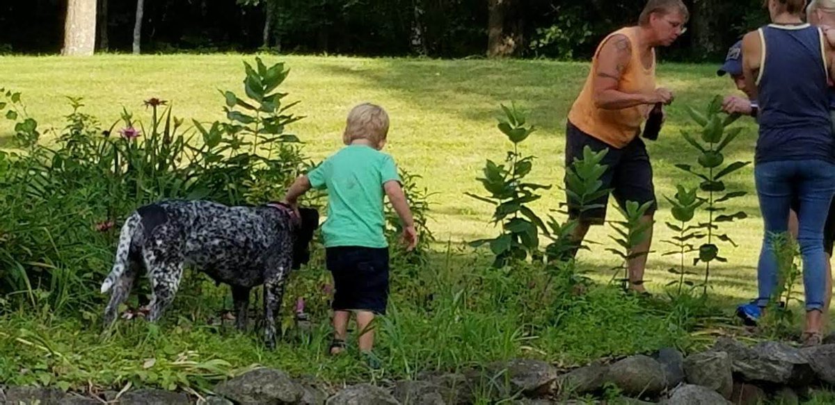 JonesDake's tweet photo. Fun at Aunt Lisa and Aunt Polly's cabin.  Looking for monarch caterpillars and walking with the dog. https://t.co/9HLZFPuQlC