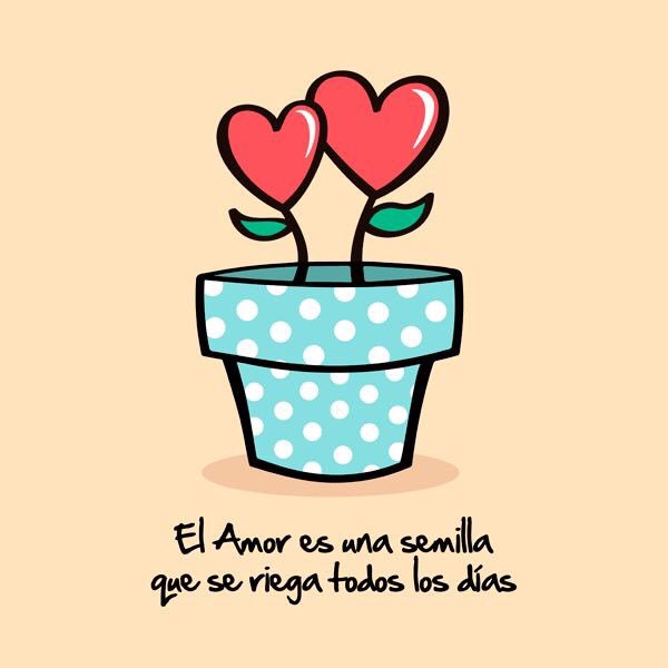 iPrincipito's tweet photo. El amor es una semilla... https://t.co/st6p4bk6Uo