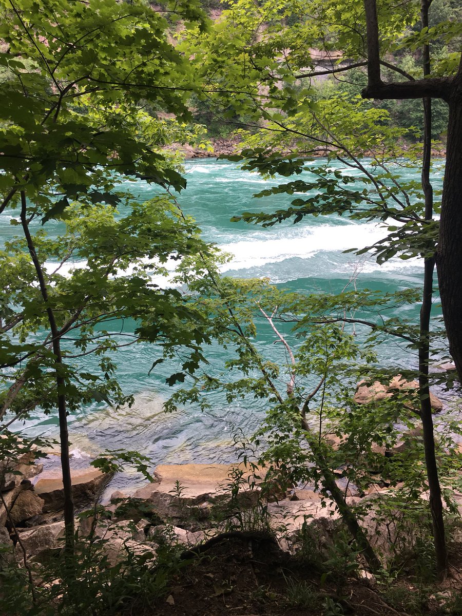 Ris_Brown's tweet photo. What a great day playing tourists in our own town. @NiagaraParks #niagaragorge #naturecentre #tradingrocks https://t.co/1rl0SiMKiU