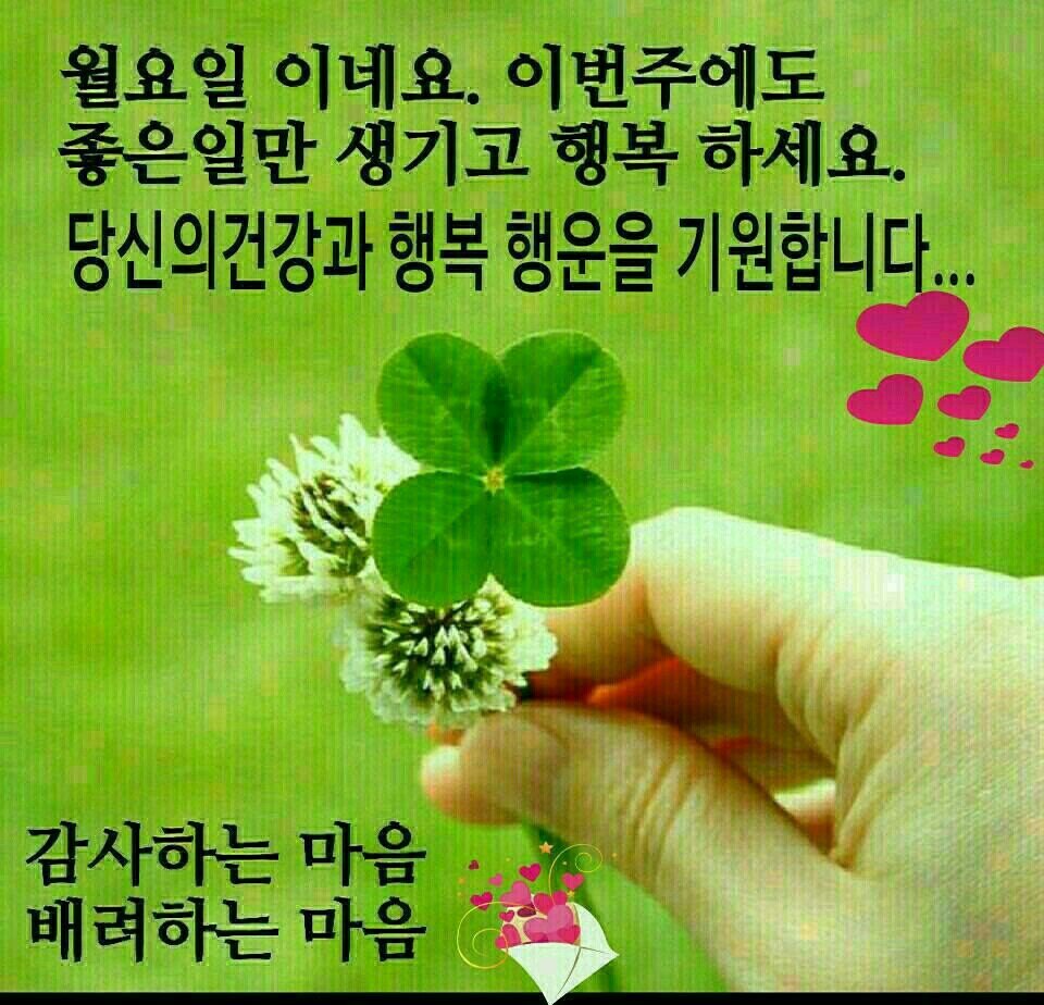 으르신 카톡 짤 모음 on Twitter: