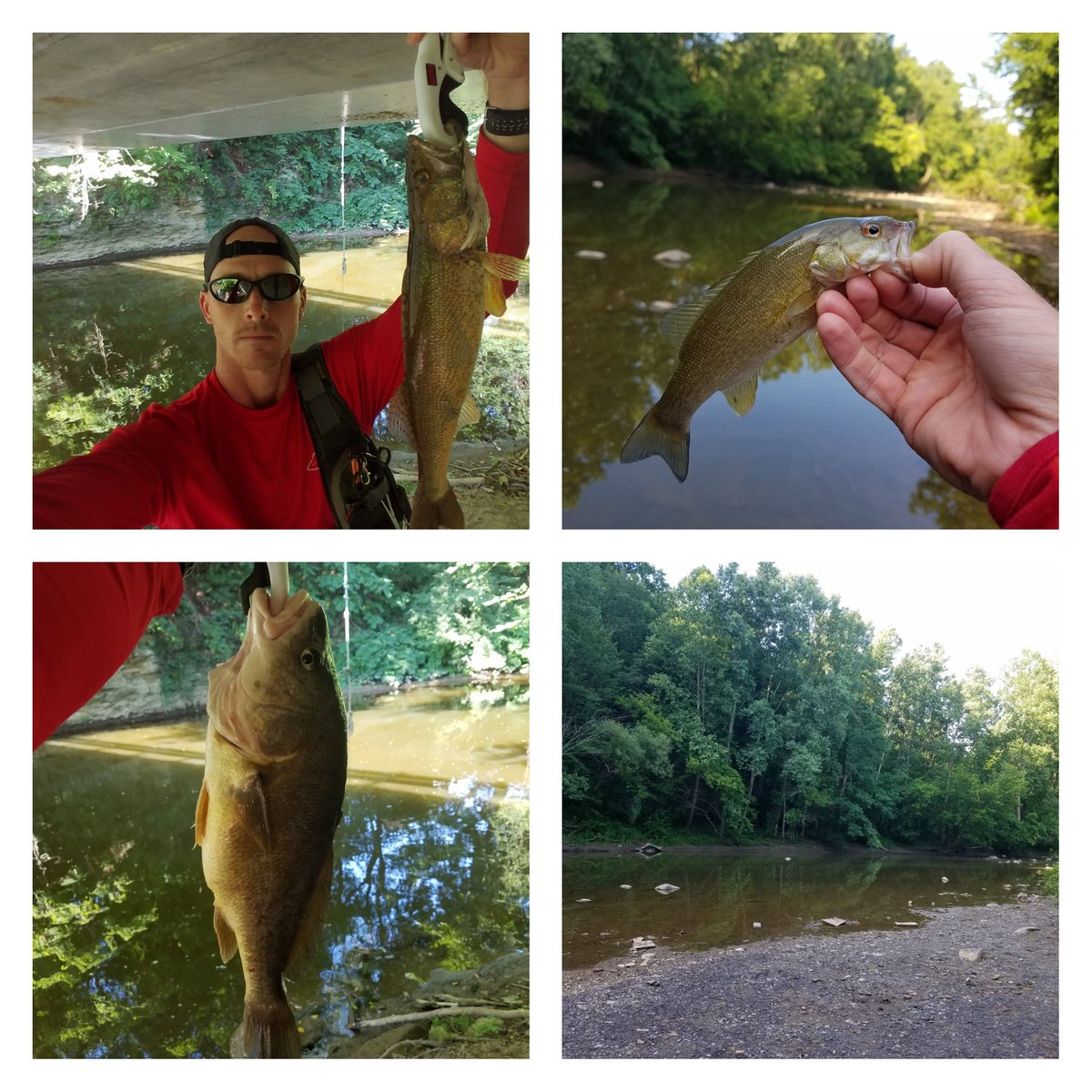 Havent been on much bc of work & coaching soccer, but finally got out today for the 1st time in 3 wks and hit a creek trifecta @WolfPackFish @OhioDivWildlife #beavercreek @drophookapp #creekfishing #WolfpackPF