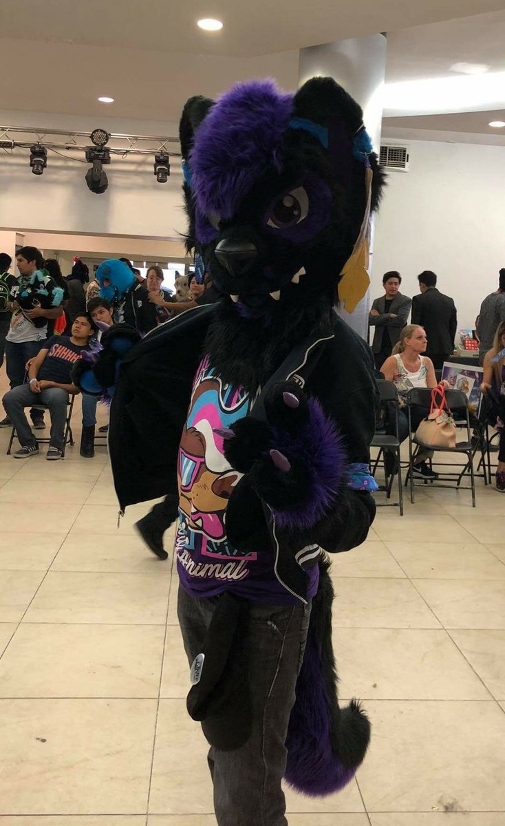 MilkoMyrkurson's tweet photo. MAÑANA livestream para platicarles cómo estuvo la @FurrySummerMx
Les hago un adelanto: lo bailado nadie me lo quita!
Lunes 8pm CT aquí en https://t.co/S4H7OtTJ4e ! https://t.co/2PjXA9IGqk