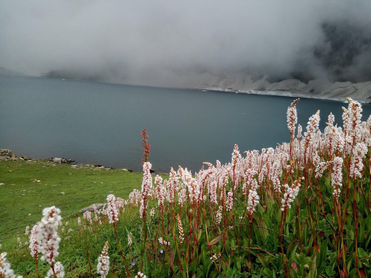 BeautyPakistani's tweet image. Azad Kashmir, Pakistan.