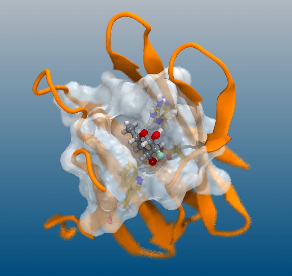 An early WIP for a JCIM cover art image. I’m interested in experimenting with depth-of-field effects, I think they highlight the binding site well while still showing the whole protein structure. A glossy rendering on the ligand helps too. #CompChem #MolVisMonday #VMD