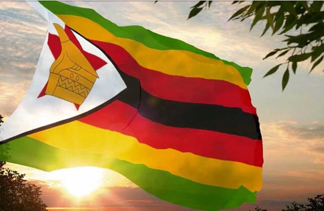 advocatemahere's tweet photo. Let’s do this team Zim! https://t.co/3Kh4AZO6ZM