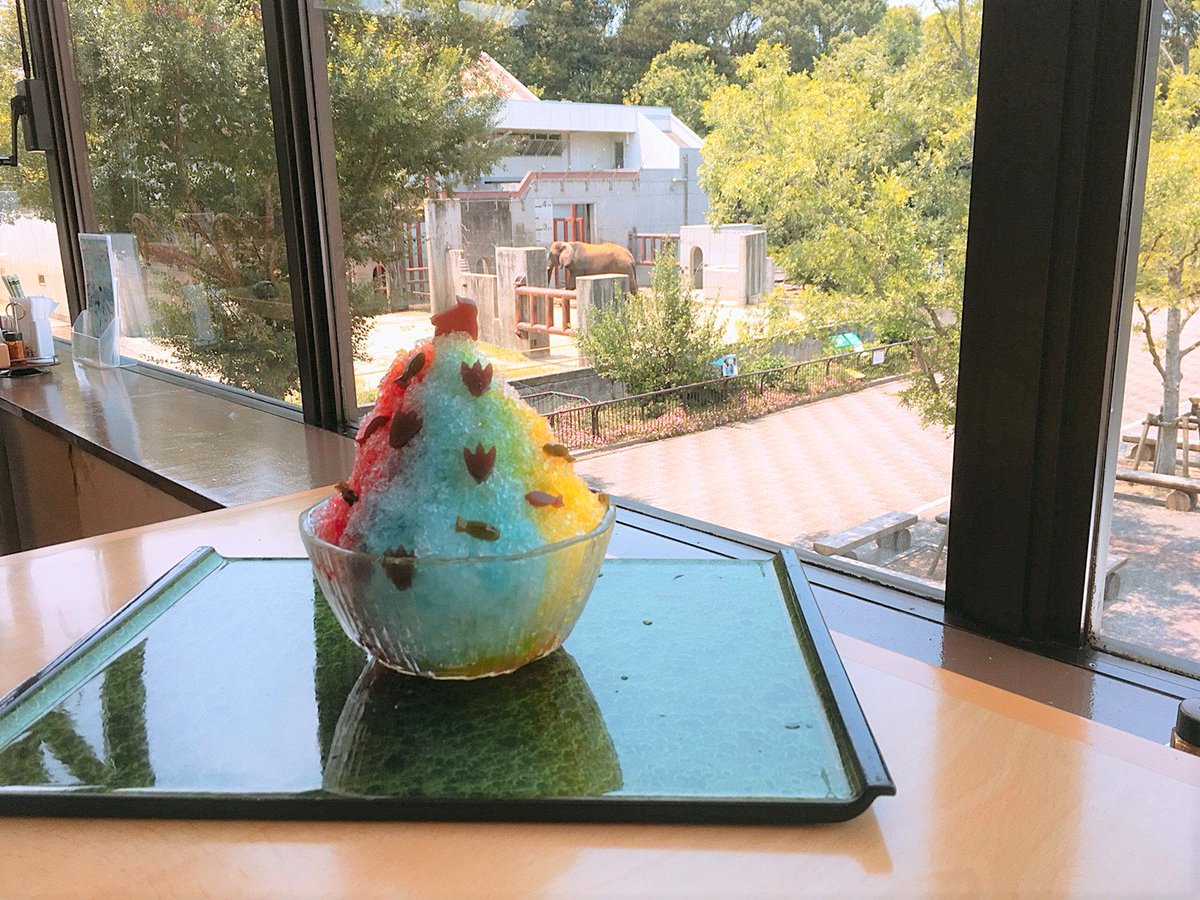 愛媛県立とべ動物園 公式 A Twitter ひとりでは食べきれない 開園30周年記念メニュー第２弾 ペンギンジャンボフラッペ が 展望 レストランsky Gardenで大好評販売中です ペンギンはなにから生まれるでしょう 答えはこの中にあるかも ぜひ食べてみて下さい