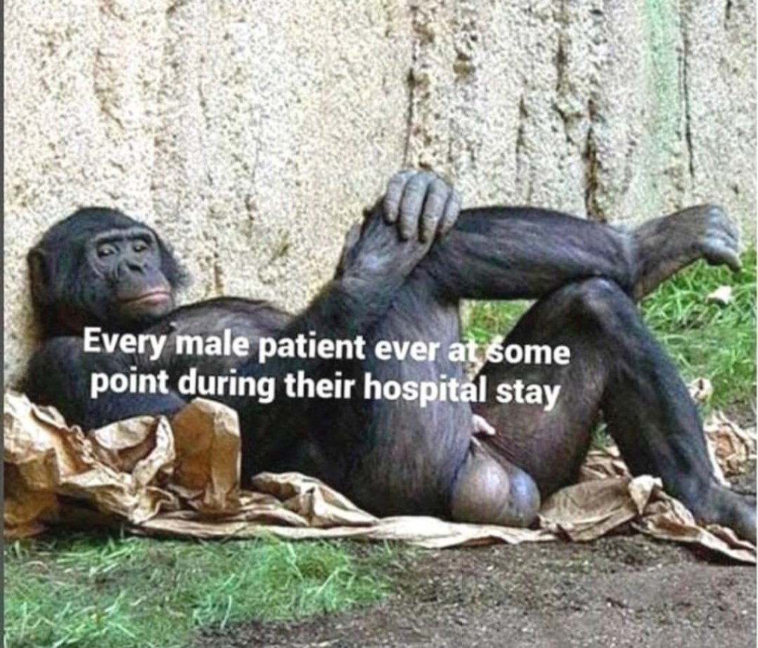 askthebeerguys's tweet image. #HospitalHumor Day #5