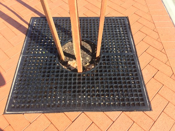 Strata_Green's tweet photo. StrataGreen’s Ribblesdale Tree Grilles were spotted in use in the Shire of Murray recently. These Tree Grilles are 1.2m sq and are manufactured from Grade 250 Cast Iron. If you want a Tree Grille that lasts, this is your answer! Expected to last in excess of 100 years normal use. https://t.co/P2vBvFR18U