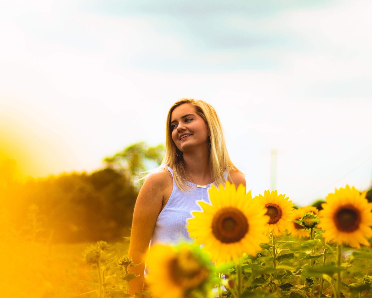 v_c_17's tweet image. Sunflower Sunday🌻☀️🌻