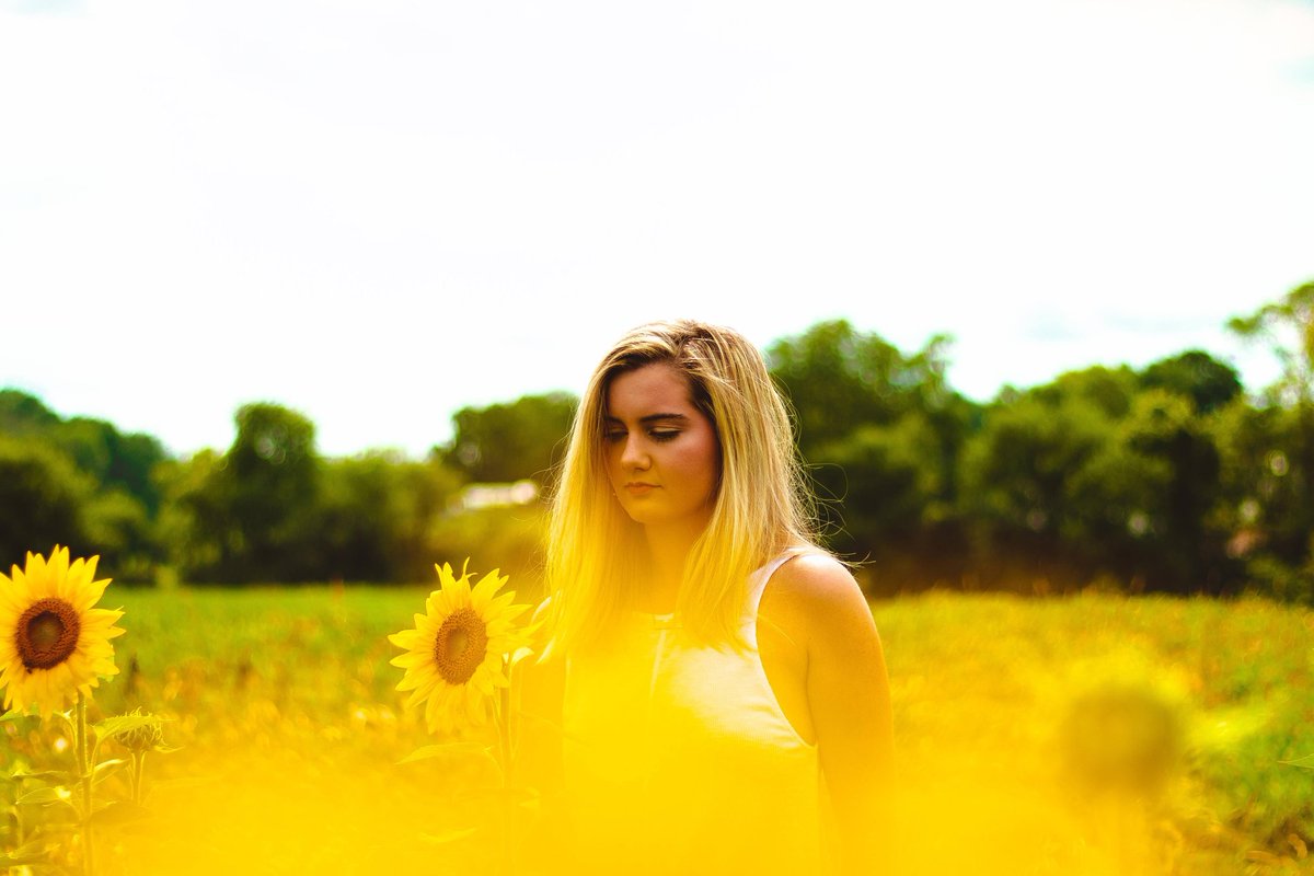 v_c_17's tweet image. Sunflower Sunday🌻☀️🌻