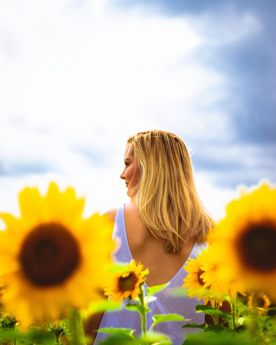 v_c_17's tweet image. Sunflower Sunday🌻☀️🌻