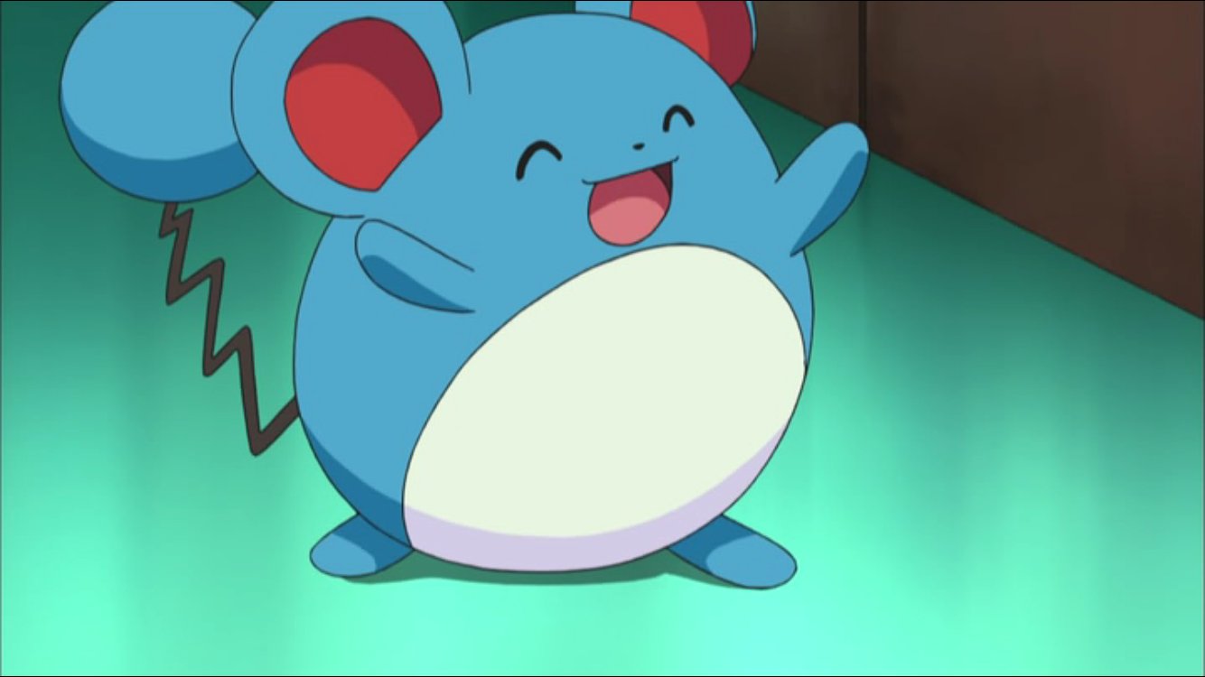 Twitter 上的 アコマリる Poke Times おはようございマリル ポケモンだじゃれ T Co Ygxmjvo9ja Twitter