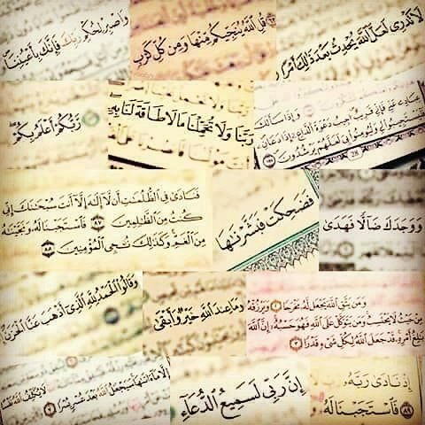 aimanabdulqader's tweet photo. #القران_الكريم

ألا بذكرِ اللّهِ تطْمَنُّ القُلوبْ ❤

#قائد_محاربي_السرطان https://t.co/51W9rKu6cU