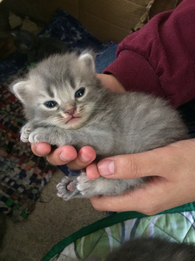 Percysxcle's tweet image. I CANT DO WORK BC OF THIS PICTURE