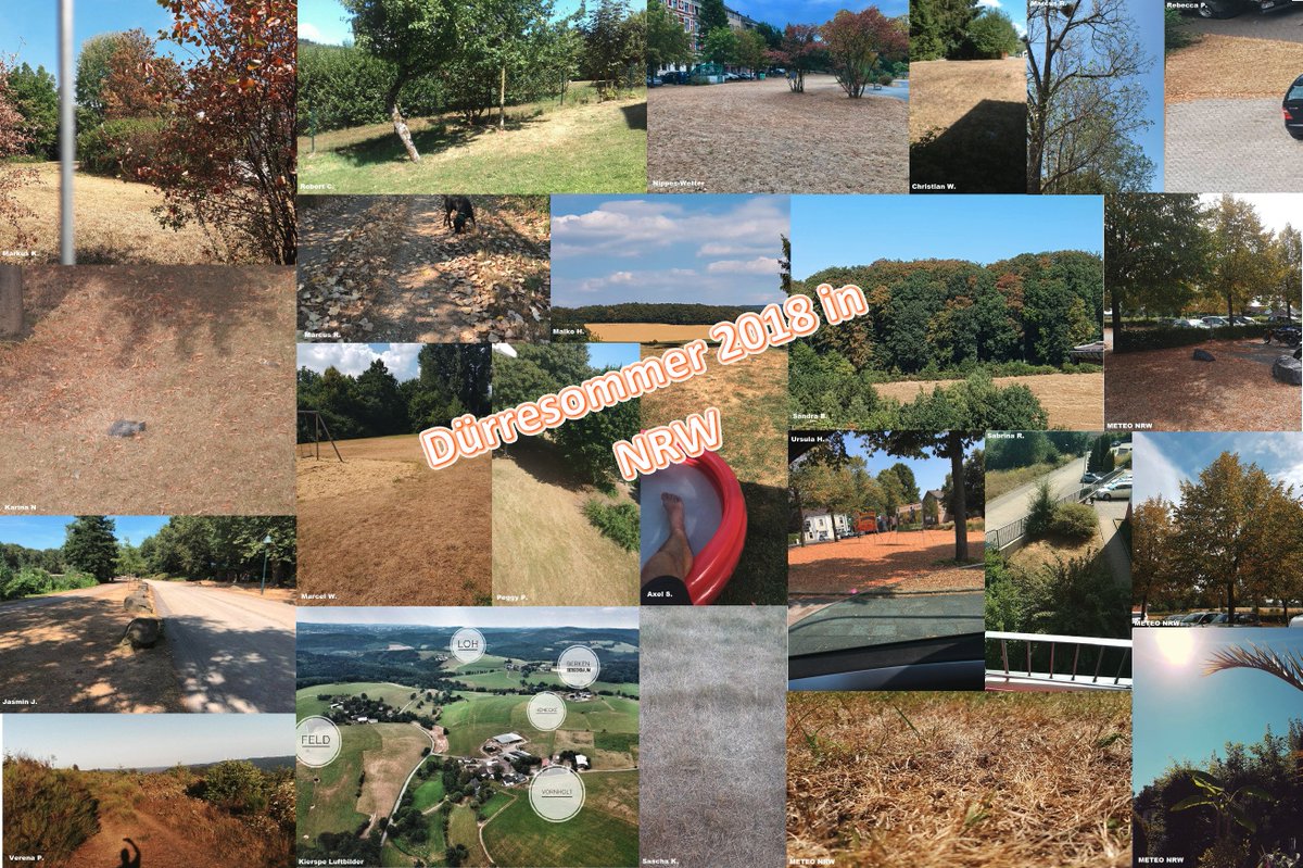 meteonrw's tweet photo. Eure Impressionen aus dem Westen der Republik zum Dürresommer 2018 - vielen Dank an all die Zusendungen! #Wetter #NRW #Dürre #Sommer #Trockenheit https://t.co/8dy0IPVWLn