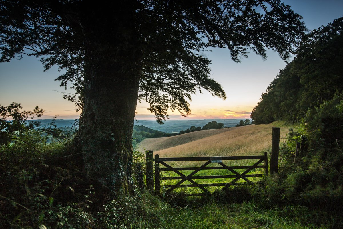 DevonLife's tweet photo. 🎉 Congratulations to Paul Newman and David Bright, our banner competition winners! 🎉

Paul's shot of Branscombe Beach just pipped David's photo of Haldon by 170 likes to 165 - it was so close we had to pick David to be our Twitter winner! 🏆

Thank you to all who took part! 📸 https://t.co/8NkKornZcm