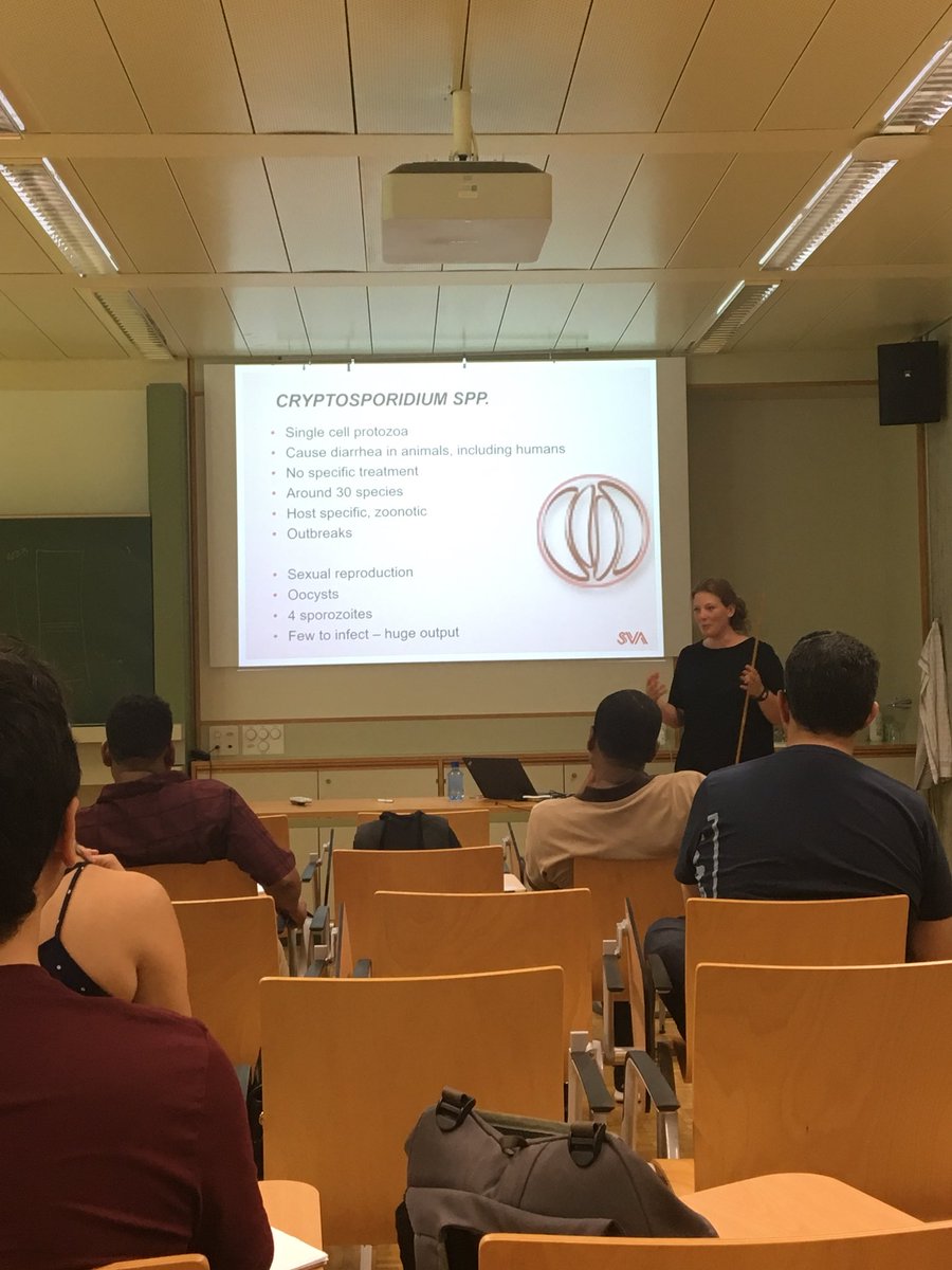 mideastbop's tweet photo. Karin Troell @Dixern giving a talk on single cell genomics in Cryptosporidium to #MeBoP2018 students https://t.co/3wVFcf4uYp