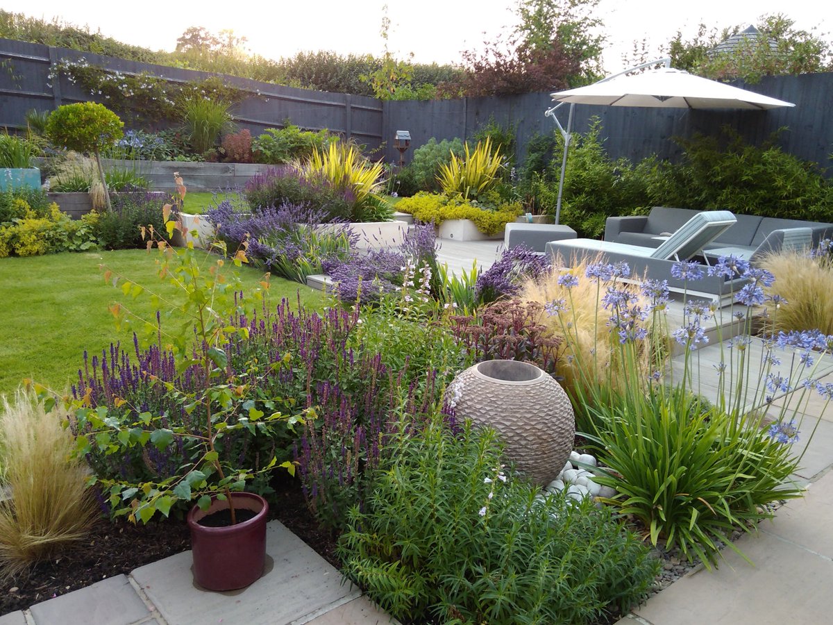 Anthea Harrison tweet media