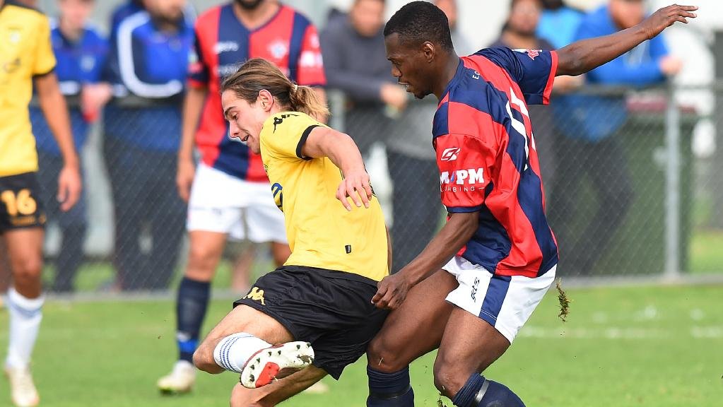 Tim Michell tweet media