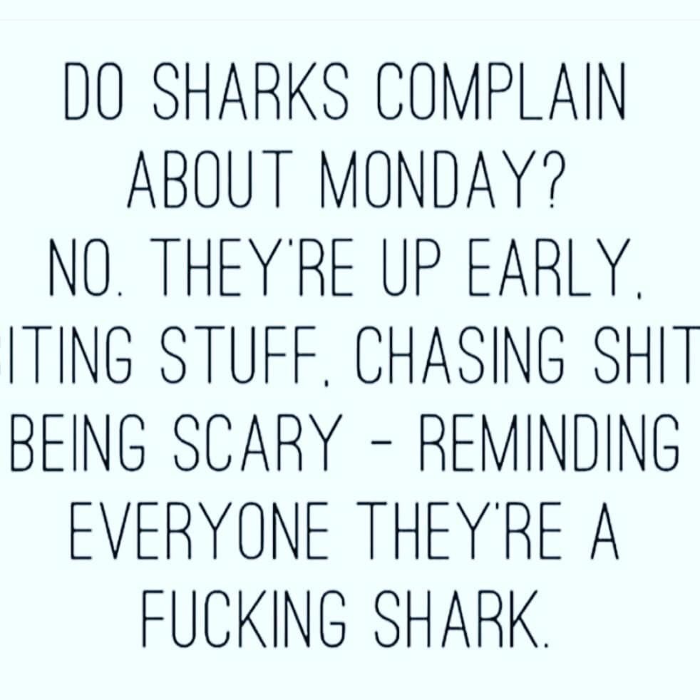 getastandin's tweet photo. #mondaymotivation from our friends to yours! https://t.co/zDUAva1voh