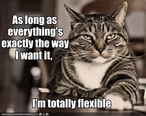 LordSimba1's tweet photo. @thefurphster Aside from the food situation, all is well. Tankles finally finished the short stories she was working on, so now she can get back to the important job of serving me. https://t.co/P8VYSUxDRQ