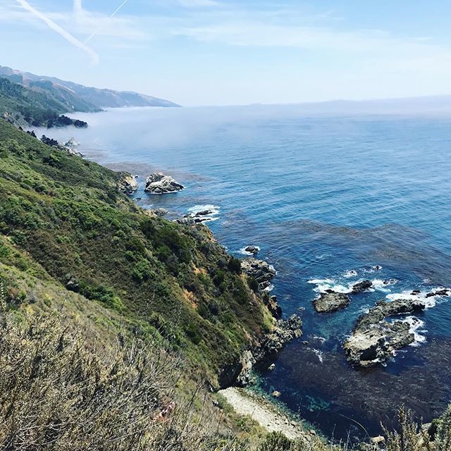 brunchpants tweet media