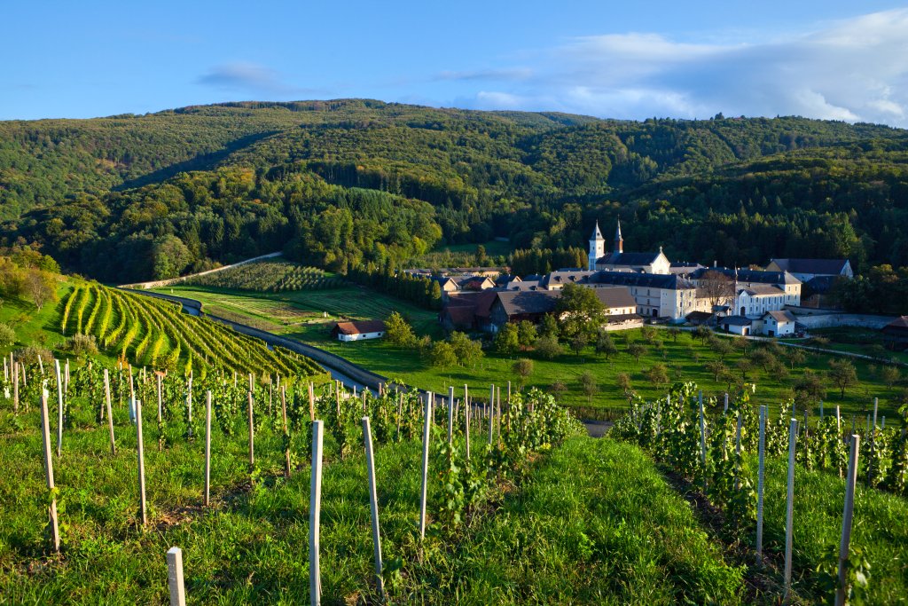 Spacious #forests and #vineyards🍇 surround the Pleterje Carthusian Monastery. #ifeelslovenia #visitdolenjska