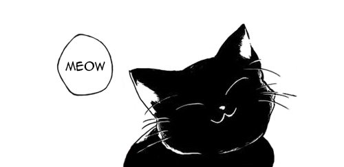 ♡☾⎾ʟᴜɴᴀʀ⏌☾♡

          ♡ ᴄᴀᴛᴛᴀʟᴇ sᴀɴs. ♡
♡ ☾ɪɴғᴏʀᴍᴀᴛɪᴏɴ ᴛʜʀᴇᴀᴅ ʙᴇʟᴏᴡ.☾ ♡
      ♡ ᴘʟᴇᴀsᴇ, ɴᴏ ᴄᴏᴍᴍᴇɴᴛs. ♡