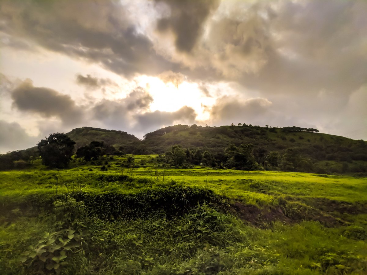 chavan_pooj's tweet photo. दुर्गम उंच उंच शिखरी।सह्याद्रीच्या कुशीत।।
#tornatrek⛰️ https://t.co/3EAxuxBueB