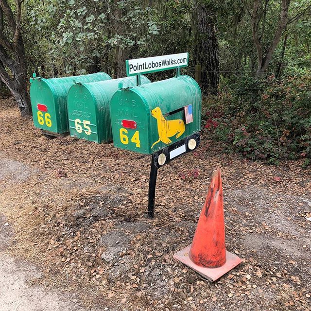 ConesAlone's tweet photo. Hoping some mailbox style rubs off. Highway 1, Carmel. #Trafficcone #safetycone #mailboxes #ads https://t.co/857xabZbL9 https://t.co/JfkqG3X550