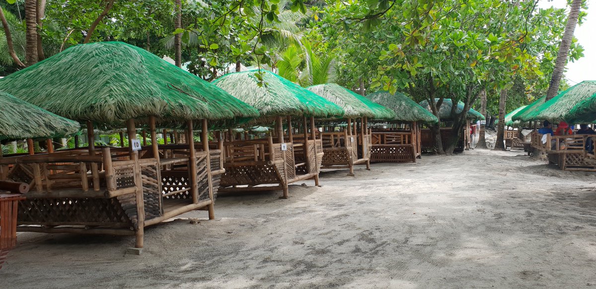ourcamayan's tweet photo. Be surrounded by tropical trees that take you back with nature. #OurCamayan https://t.co/R5mShufJ5d