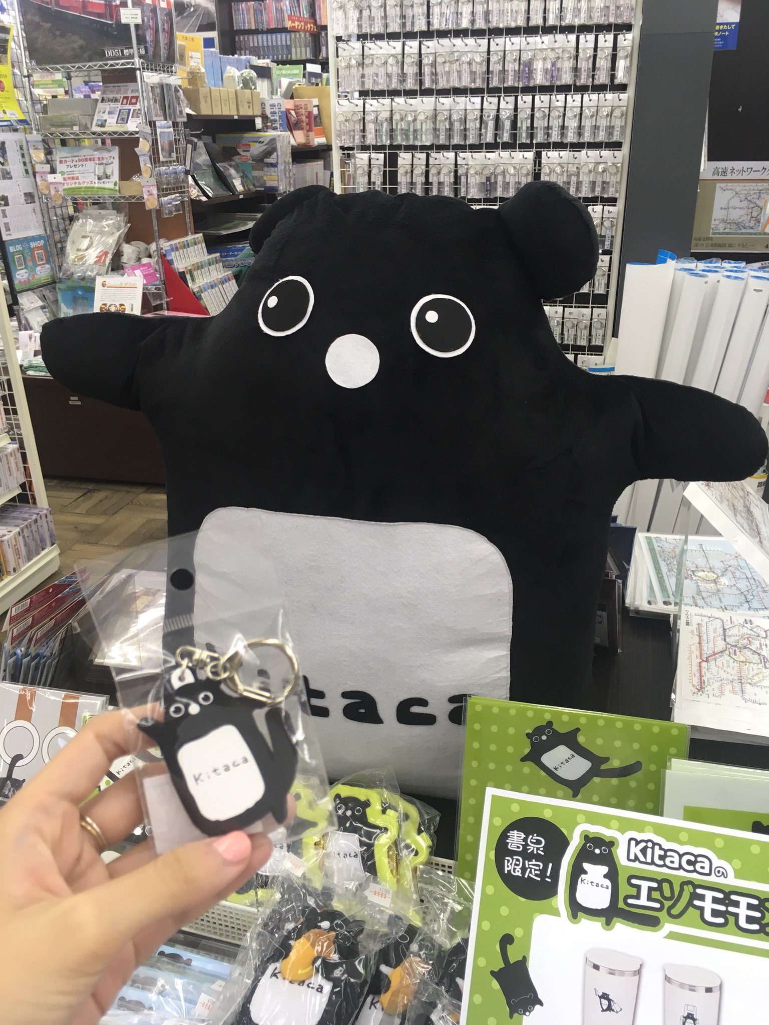 書泉 総合案内 в X: „書泉グランデ鉄道フロアの「エゾモモンガ」フェア 
