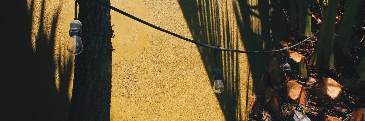 desventvras's tweet photo. Davenport, CA
β’
β’
#tb #Davenport #cali #California #beach #beachday #yellow #palmtrees #summer #amateurphotographer #amateurphotography #sunshine #light #warmcolors #vsco #vscoediting #vscocommunity #candid #photography #photo #Canon #canoneosrebelt5 #teamcanon #ocean #nature https://t.co/GvjREkdwvp