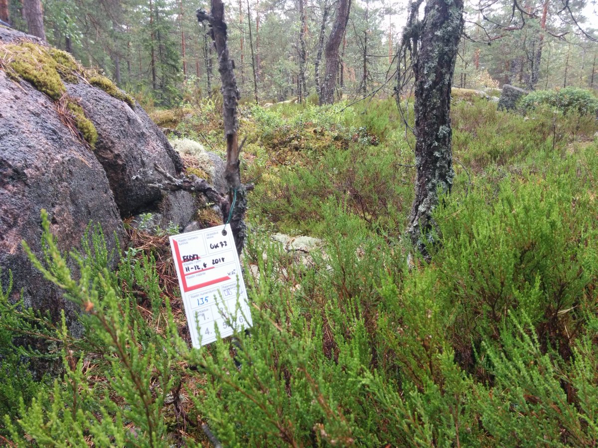 fsom2018's tweet photo. Sista dagen för FSOM-anmälningar är 1.8.2018 (kl. 24:00). Kom ihåg att man inte kan efteranmäla sig till mästerskapstävlingar! Kolme päivää aikaa ilmoittautua FSOM:ään!
 Sprint: https://t.co/sn1DWSM5A4
 Långdistans: https://t.co/YvblKWBtuK
 Stafett: https://t.co/YvblKWBtuK https://t.co/NlE4zUEVeo