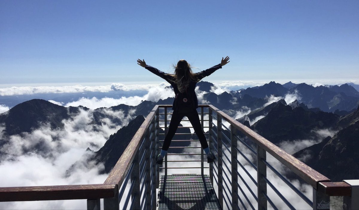 DavidZWinkler's tweet photo. With our proven strategies, your business is bound for wild success! https://t.co/tlPwE8hs76 https://t.co/ue9oY0Kw5P