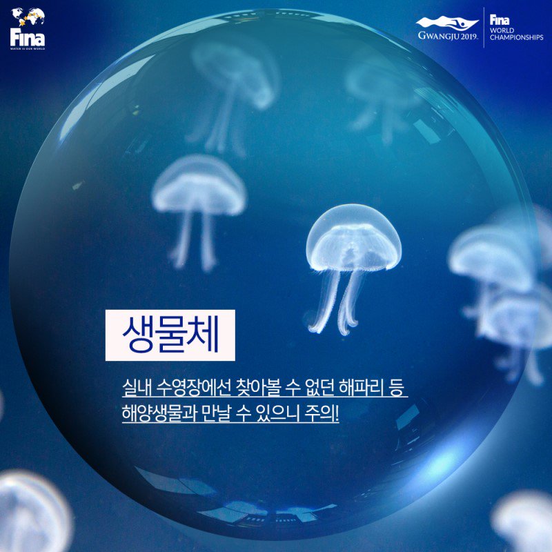 helin5057's tweet photo. 오픈워터 수영? 그게 뭐야?
2019 7월 12일 여수엑스포 오픈워터 수영 관람하고 싶다면 먼저!
이것부터 알고가기?
여름에 계곡 바다 가는 사람은 오픈워터 수영이닷!
출처 2019광주수영선수권대회 조직위원회 #2019광주FINA수영선수권대회 https://t.co/EScWs70VZQ