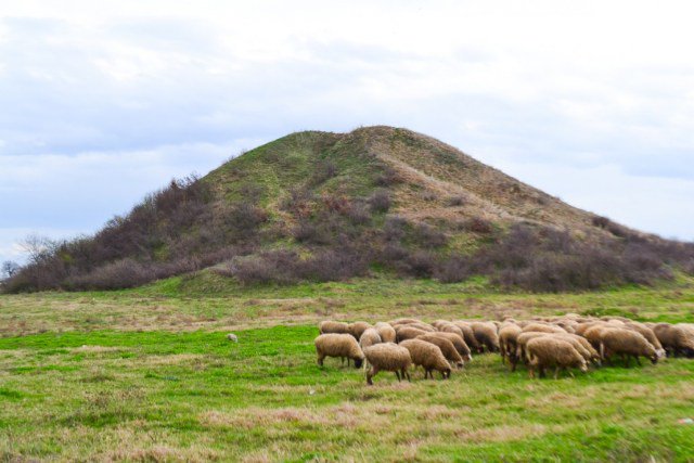 Sarah404BC's tweet photo. Archaeologists excavate #Maltepe Burial Mound near the town of #Manole #Plovdiv (#Greek #Phillippopolis) #Bulgaria
https://t.co/dWbrbn7mDO https://t.co/B7u78O83wO