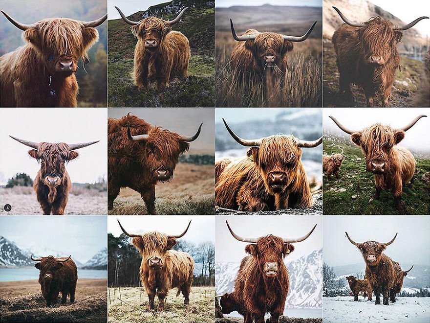 pixbufhq's tweet photo. Somebody Is Showing How Instagram Photos Are All Starting To Look The Same And It’s Pretty Freaky https://t.co/fF6R5TXfIC https://t.co/1nf6mJrVqH