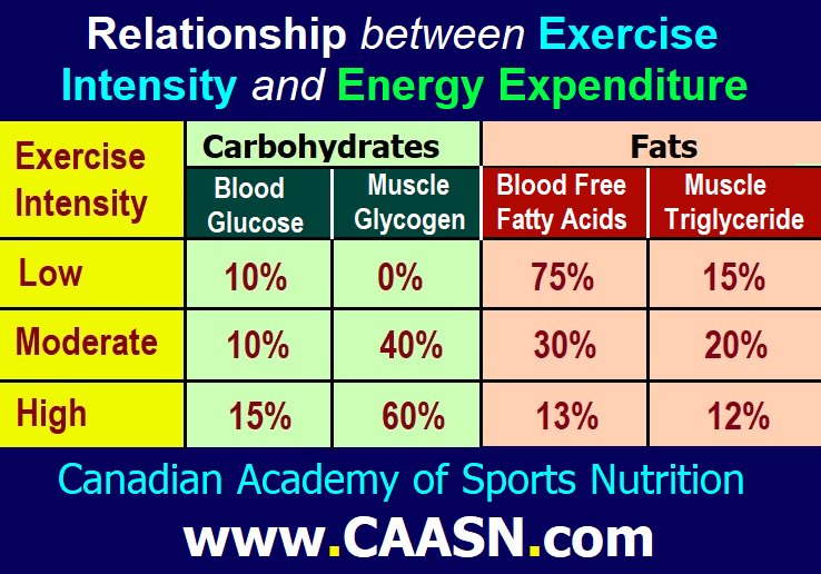 caasn.com 
#ExerciseIntensity #MuscleGlycogen #CAASN #Fitness #FitnessNutrition #SportsNutrition #MedicinalNutrition #WeightLoss #WeightLossAide  #FitnessNutritionCourse #SportsNutritionCourse #SlimmingDiets #BeautyNutrition #IntegrativeTherapeuticNutrition #Toronto