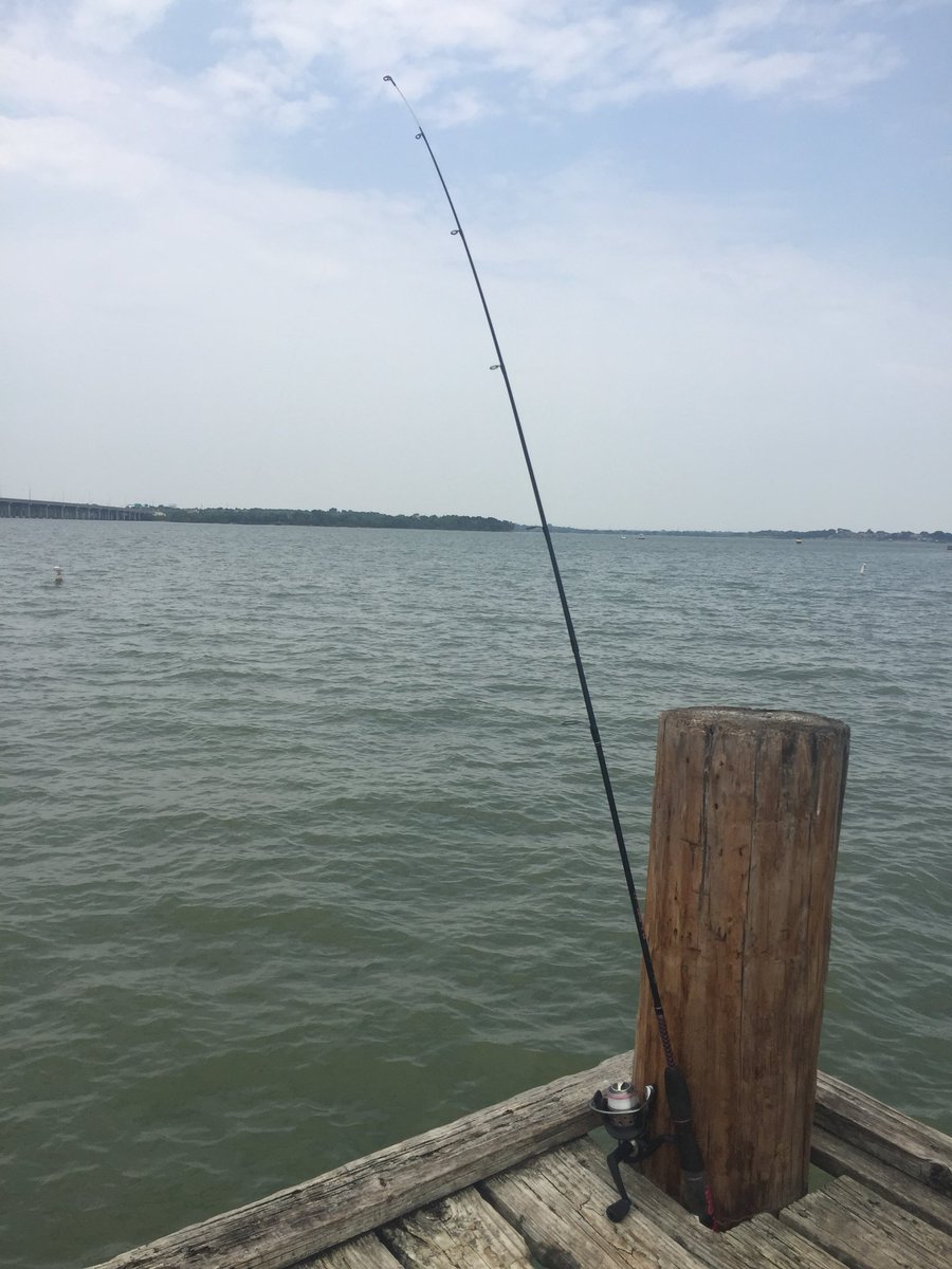 SouthOCSurffish's tweet photo. Last stop before the airport. Found a good hole for the little guys, next year will have to set aside some time to find the big boys. #lakerayhubbard #garland #texas #catfish #fishing https://t.co/SHdWgALyDE