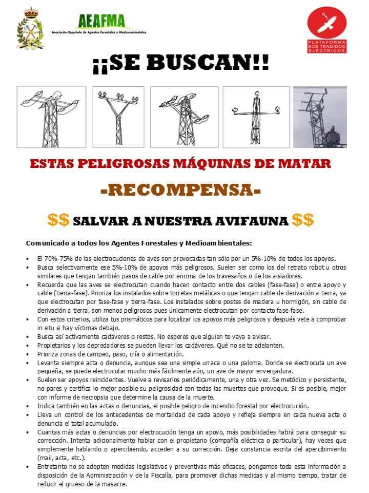 AMedioambiental's tweet photo. #PermitemeQueInsista Si encuentras aves debajo de un tendido eléctrico, no los toques y ponte en contacto con los #AgentesMedioambientales o #AgentesForestales de tu #CCAA #AAMM #AAFF #APN #AARR #AMN #TAMN https://t.co/ONTsQPJocX