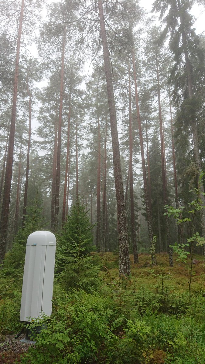 ICOS_Norunda's tweet photo. @icossweden Bad luck with power outages, but really happy about more than 50 mm of rain yesterday @ICOS_Norunda. It is needed so much and creates some mystic atmosphere the day after https://t.co/2MHOiAXTer