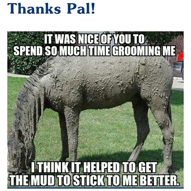 equifloor's tweet image. 😂😂😂😂😂

#equifloor #stableflooring #interlockingmats #equestrianlife #riderhour #tacktalktuesday #247equestrian #horse #stable #equestriantrade #riderhour #thedressagehour #equinehour