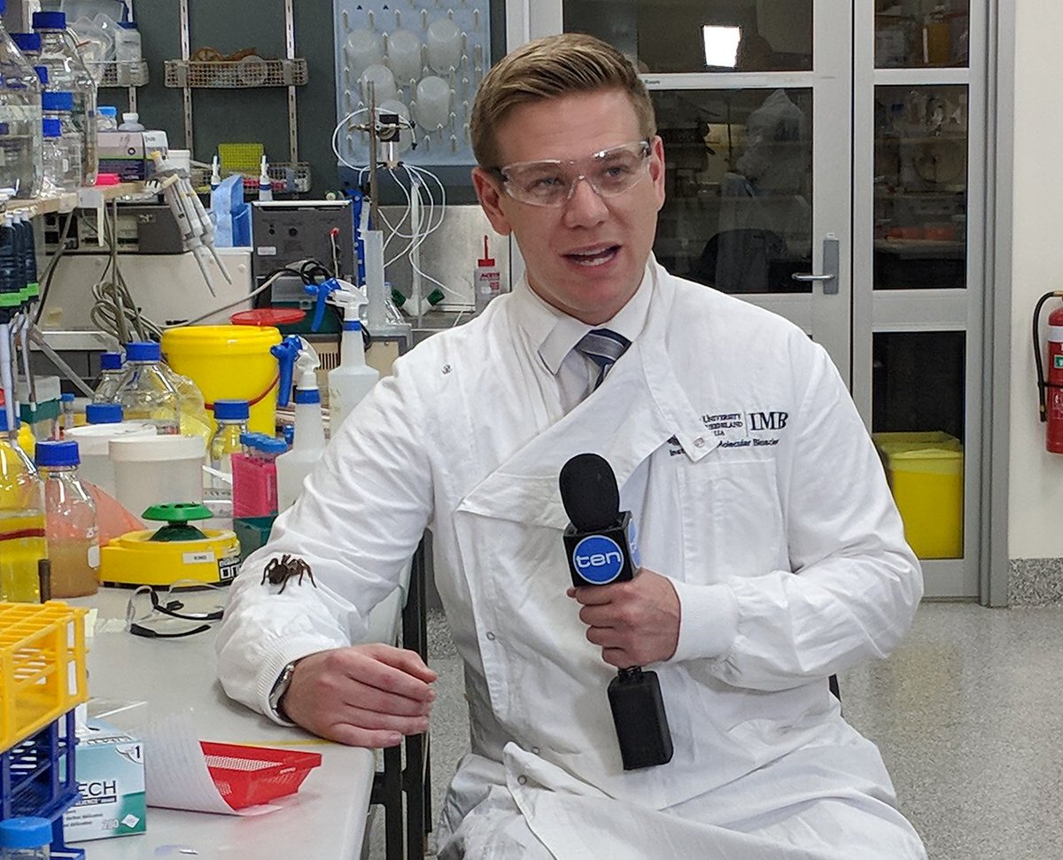VenomsLab's tweet photo. Pleasure to talk today to @Joehillten @ChannelTen about our collaboration with the amazing Nieng Yan @Princeton @Tsinghua_Uni on implications of our #cryoEM structures of #SpiderToxin-#SodiumChannel complexes for design of bespoke #painkillers. Congrats Joe on braving the spider! https://t.co/cuHgKpEFJE