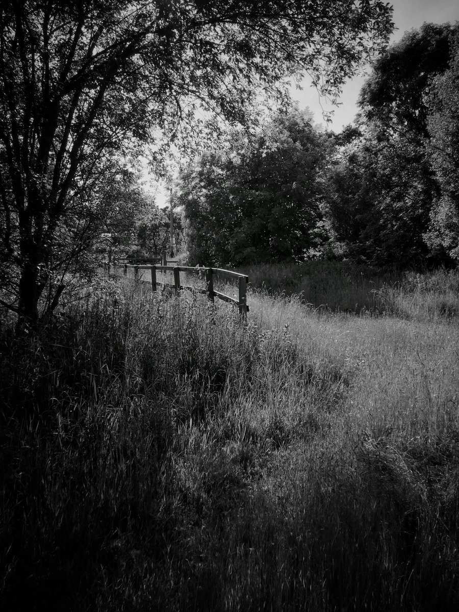 우울증은 고립으로 이어집니다.

고립은 가장 파괴적인 경험들 하나입니다.

고립은 바깥 세상을 피하는 것입니다.

고독은 우리에게 평화를 불어넣지만, 고립은 우리를 무력하게 만듭니다.

#BattlesOfTheMind #MentalHealthMatters