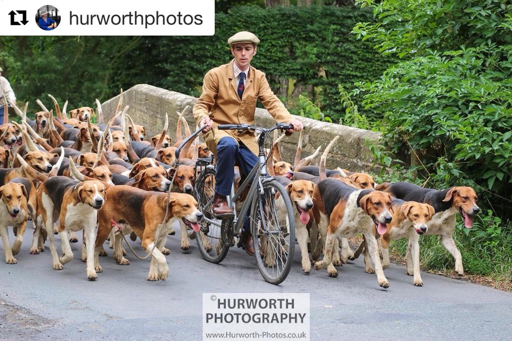 Jill Grieve tweet media