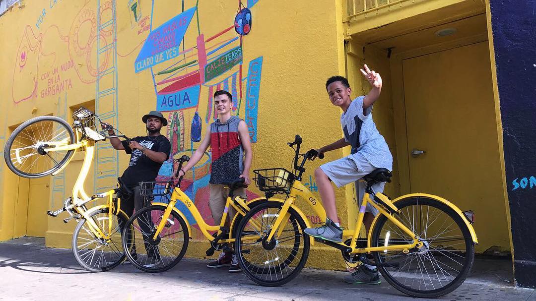 ofo tweet media